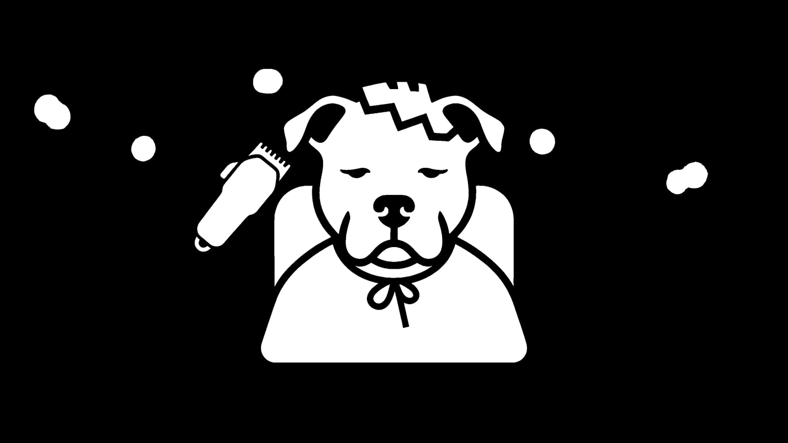 $BARBERDOG: The Unbothered Crowd