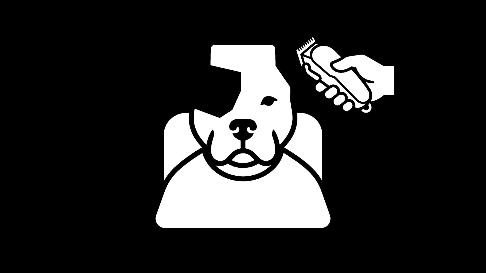 $BARBERDOG: Why It Hits Different