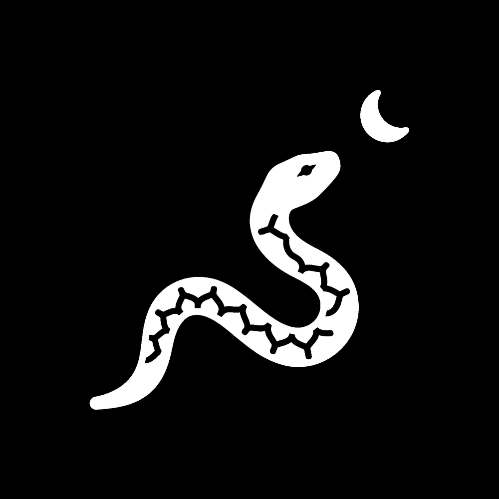 Meme: Snakes on the Moon ($SNAKEMOON) is live.
Editors are cutting snakes into rocket and moon footage, so the serpents now s
