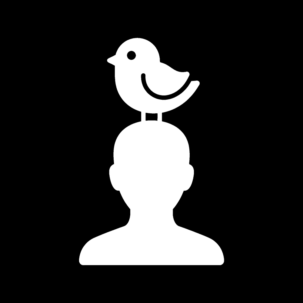Meme: Perchhead ($PERCHHEAD) is live.

Clips show a small bird landing on people's heads in a park and staying there while onl